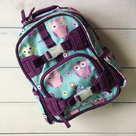 Pottery Barn Kids Other - NEW Pottery Barn Kids Mackenzie Mini Owl Backpack
